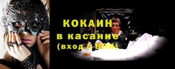 молекула духа Арсеньев