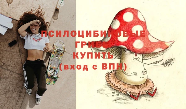 молекула духа Арсеньев