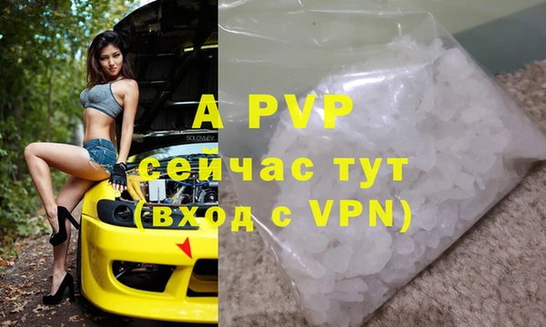молекула духа Арсеньев