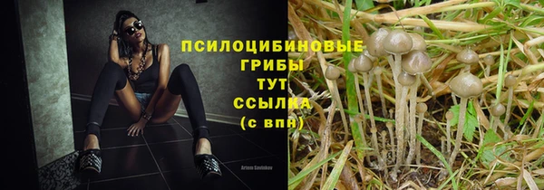 метамфетамин Аркадак