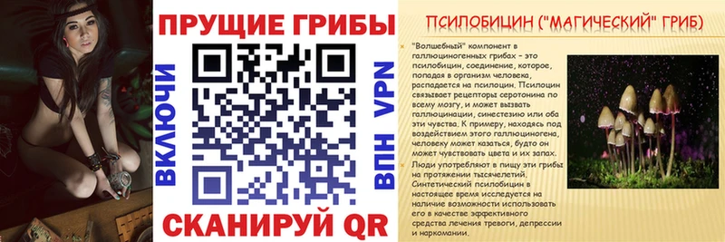 Галлюциногенные грибы GOLDEN TEACHER  Купить  Катав-Ивановск 