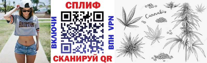 Купить закладки  Катав-Ивановск  Бошки Шишки Ganja 